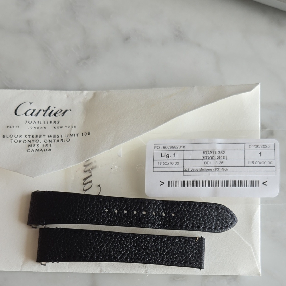 AUTHENTIC Cartier SANTOS (MENS) Interchangable Strap